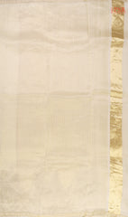 Light Sepia Beige Organza Saree