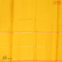 Light Grey Kanchipuram Silk Saree