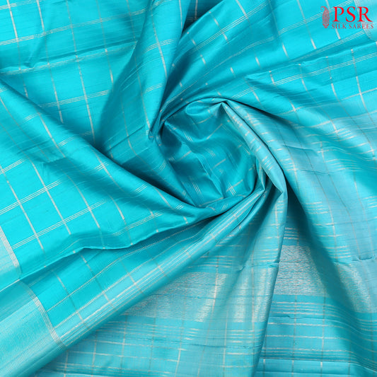 Aqua Blue Kanchipuram Silk Saree