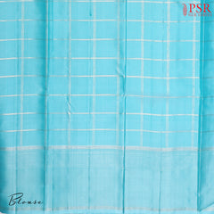 Aqua Blue Kanchipuram Silk Saree