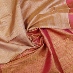 Tan Kanchipuram Silk Saree