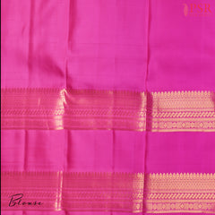 Beacon Grey Kanchipuram Silk Saree